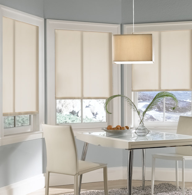 Roller shades in Sacramento