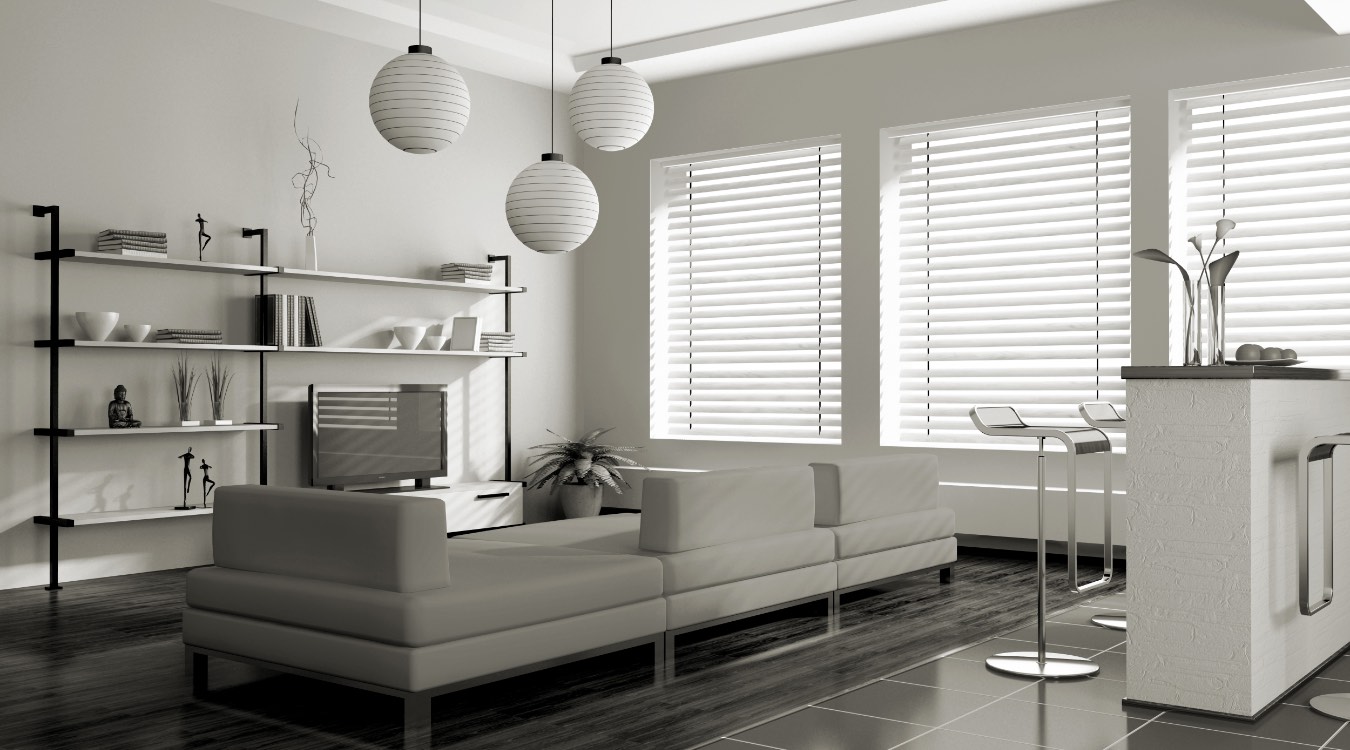 white blinds in Sacramento