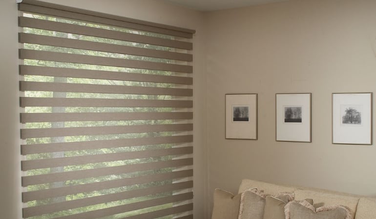 Transitional shades can be adjusted for total privacy or filtered light. Zebra shades in a living room window.